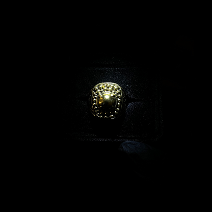 Havel's Ring V1