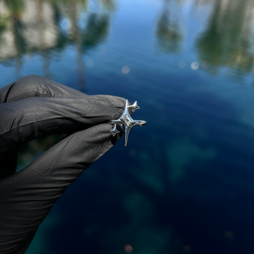Silver Eclipse Ring